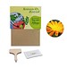 Pflanz-Set, 3er-Set, Ringelblume / Vergissmeinnicht / Sonnenblume, 1-seit. Druck