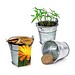 Pflanzeimerchen mit Samen, Ringelblume, 1-seit. Druck