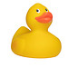 Renn-Ente, mit Metallplatte, gelb/orange, 10 cm