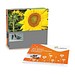 Samen-Karte, Sonnenblume, 2-seit. Druck