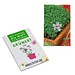 Samen-Karte-Mini Blume, Ostern, Gartenkresse, 2-seit. Druck