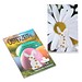 Samen-Karte-Mini Ostern, Margerite, 2-seit. Druck
