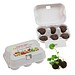 Sixpack, Flower-Balls Midi mit Samen mit Samen, 1-seit. Druck