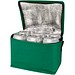 Spectrum Kühltasche aus recyceltem GRS Non Woven für 6 Dosen 4 L, grün