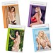 Bildkalender Pin-up Girls, 2027