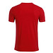 JAMES & NICHOLSON Herren T-Shirt Basic aus Bio-Baumwolle, rot, L