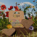 Flowerheart Bienenwiese, braun