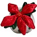 MiniFeet® Displayreiniger Schmoozies® Evergreenies® Weihnachtsstern