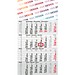 Geiger-Notes Monatskalender Budget 4 green+blue, inkl. Druck, rot