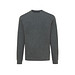 Iqoniq Denali ungefärbt. Rundhals-Sweater aus recycelter BW, ungefärbtes Anthrazit, S