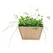 Mini-Beet mit Samen, Petersilie, 1-seit. Druck