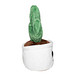 MiniFeet® Displayreiniger Schmoozies® Evergreenies® Kaktus