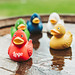 Naturkautschuk-Ente klassik, grün