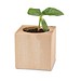 Pflanz-Holz, Standardmotiv, Sonnenblume, 2 Seiten gelasert, Gravur