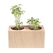 Pflanz-Holz 2er Set mit Samen, Basilikum, 1-seit. Druck