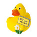 Schnabels® Bade-Ente Ortsschild, gelb