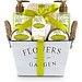 Wellness-Geschenkset: Toskana, Bunt