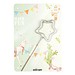 Wondercandle Mini mit Wondercard, Stern, silber, 1-seit. Druck