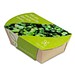 Microgreens-Gärtchen, Salatrauke, 1-seit. Druck