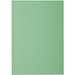 Novella Austen A6 Softcover Notizbuch aus Recyclingmaterial – 50 Blatt, grün