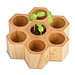 Pflanz-Holz Hexagon mit Samen, Sonnenblume, 1-seit. Druck