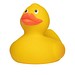 Renn-Ente, mit Metallplatte, gelb/orange, 10 cm