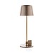 Zenic USB Tischleuchte aus RCS recyceltem Kunststoff, Bronze