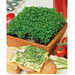 Samentütchen Mini - Graspapier - Gartenkresse, braun