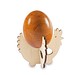 Steck-Eierbecher, Huhn, 1-seit. Druck