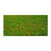 Buntes Osterpaket Necto