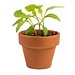 Das Grüne vom Ei, Green-Mix Box, Sonnenblume, 1-seit. Druck