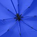 Gastschirm TWINNY, blau