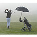 Golfschirm aus Pongee mit Windfang, schwarz