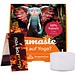 Klappbox S, Teelicht-Adventskranz & Streichhölzer, inkl. Druck