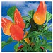 Natur-Konserve mit Samen, Gewürzpaprika, 1-seit. Druck
