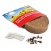 Plant-Tab mit Samen, Fichte, 1-seit. Druck