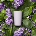Bio-Trinkbecher Colour, 400 ml, haselnuss