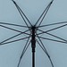 Knirps Timber Stick Stockschirm, cloud