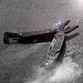 Schwarzwolf outdoor® AWU Multitool mit 6 Funktionen
