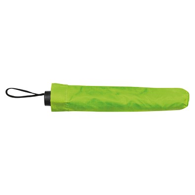 Taschenschirm, apfelgrün