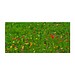 Buntes Osterpaket Necto